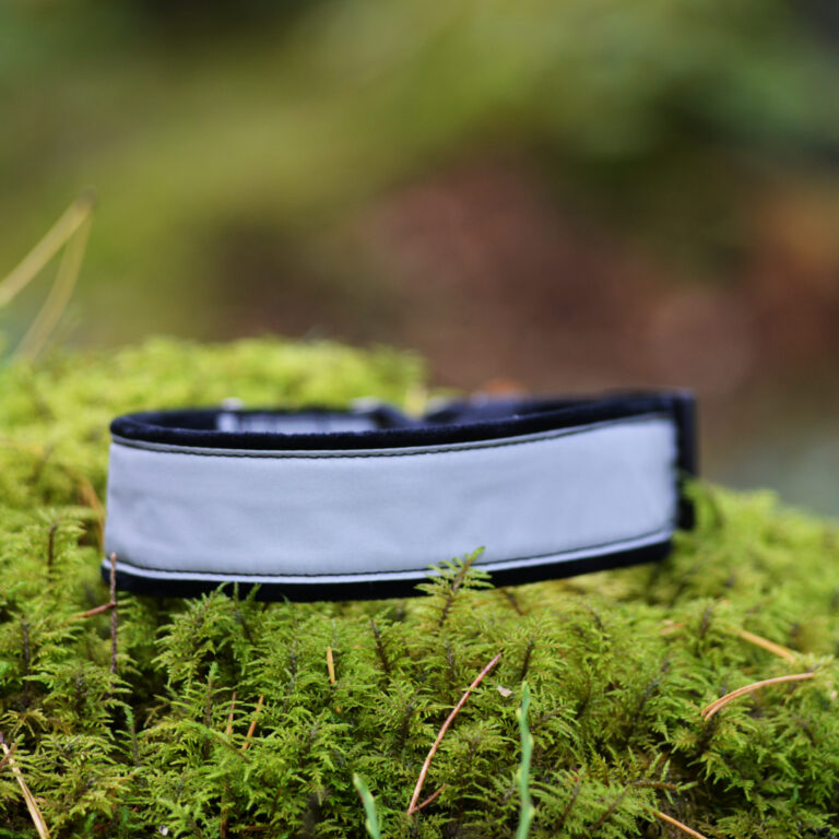 antkaklis su atšvaitu